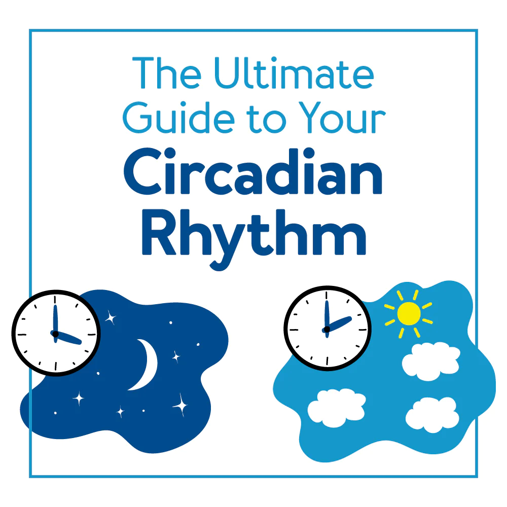 Everything to Know About Your Circadian Rhythm - weclick4aya